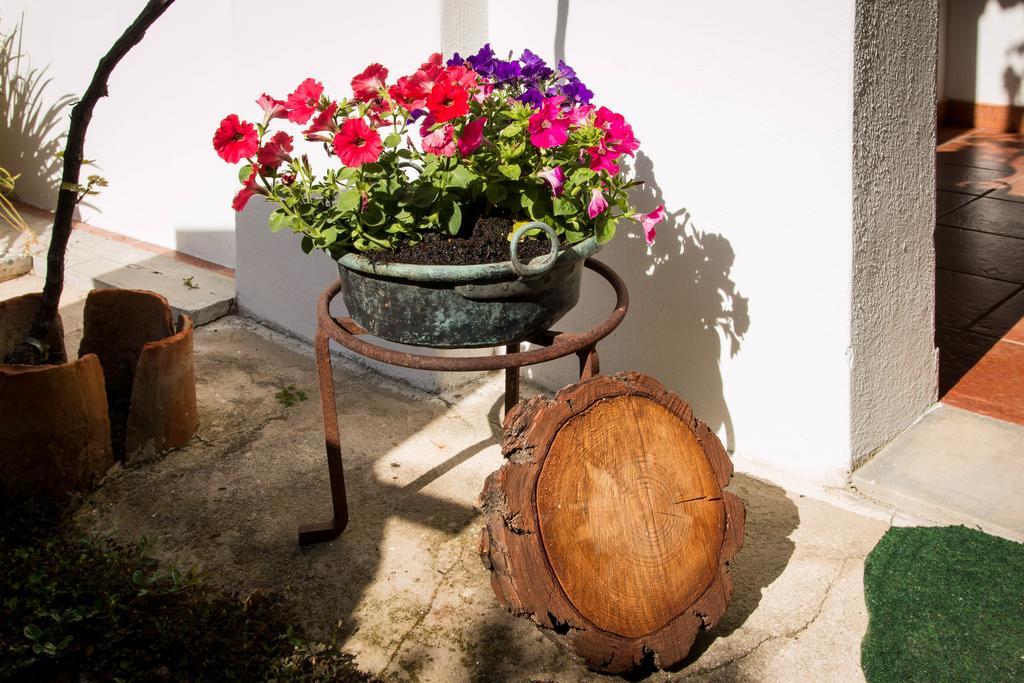 B&B Martina San Vito  Esterno foto