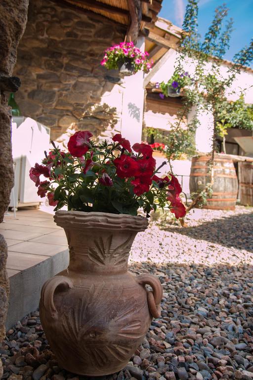 B&B Martina San Vito  Esterno foto